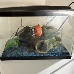 2.5 Gallon fish tank 