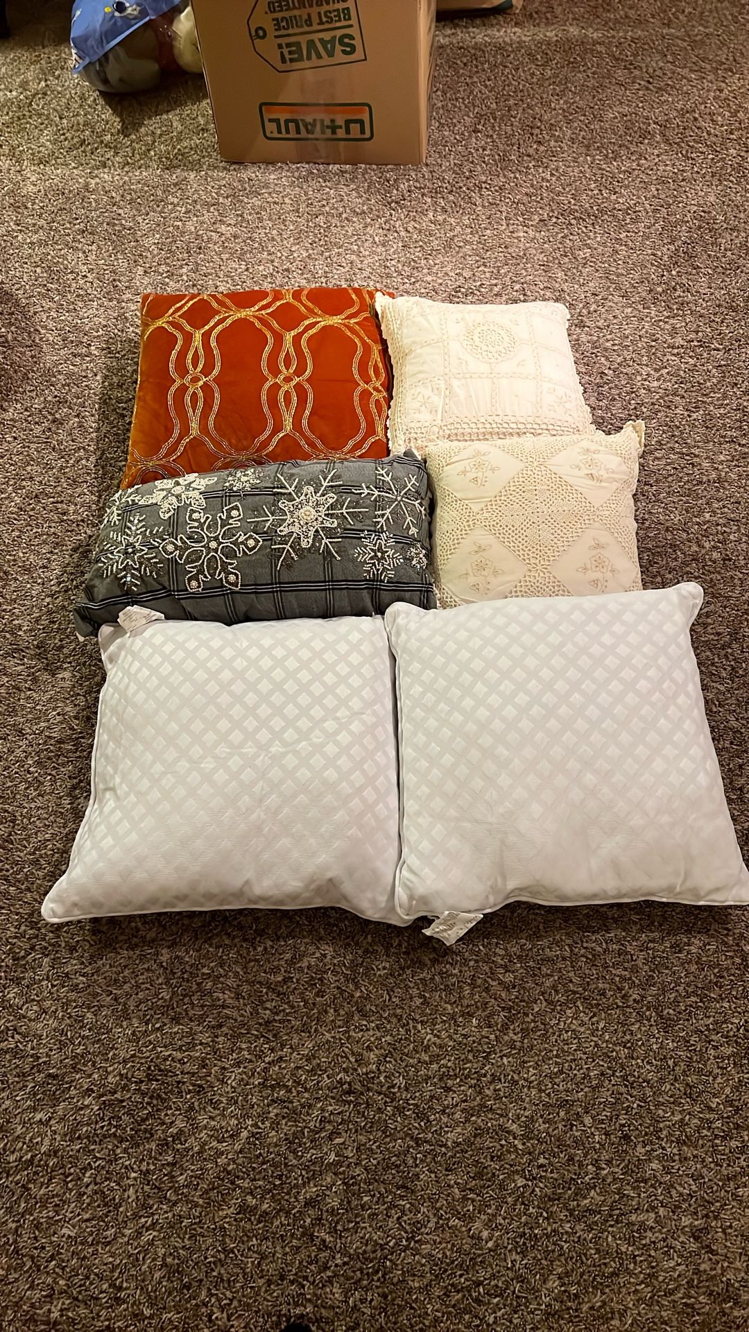6 Throw Pillows