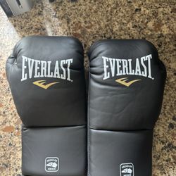 Everlast MX2 Fight Gloves 10oz