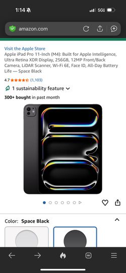 Apple Ipad PRO 11 Inch (M4) & Pencil