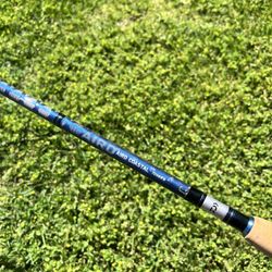 DAIWA AIRD COASTAL INSHORE CASTING FISHING ROD 
