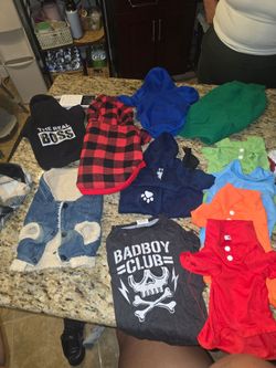 Small breed dog clothes