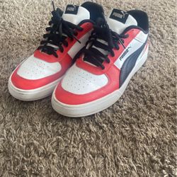Puma 