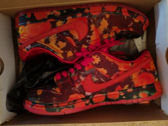Nike dunk 9.5