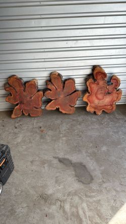 Cypress Or Burl Wood Slices-large