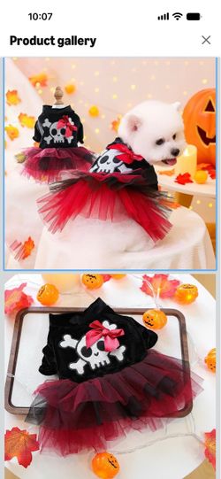Small dog costume