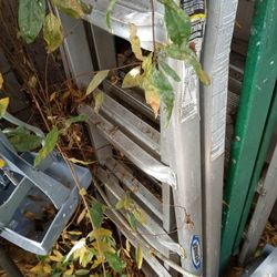 Werner 360 Aluminum Ladder