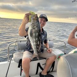 Boat with Bathroom, Showers, Sinks, Stoves, Beds Etc