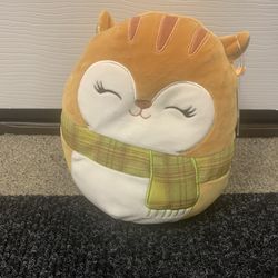 Squishmallow Erin The Squirrel