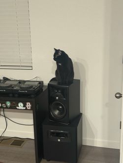 JBL LSR310S Powered sub and 2 mk2 308 monitors