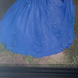 Quince Royal Blue Dress