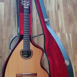 Giannini AWKN6 Vintage Guitar 