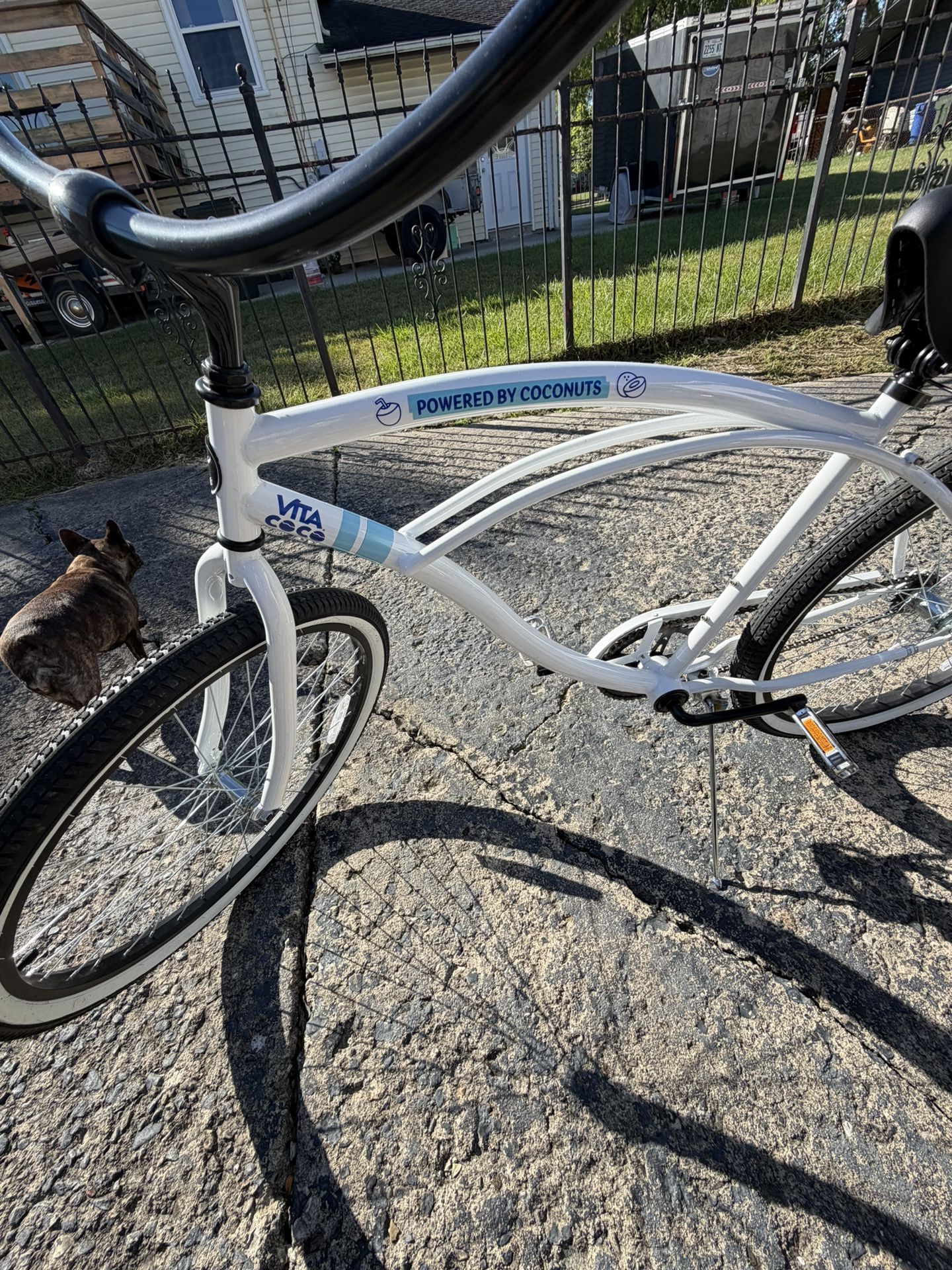 Cruiser Bike