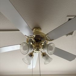 Ceiling Fan With Lights