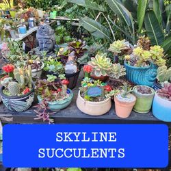 PLANT SALE THIS WEEK IN SAN https://offerup.com/redirect/?o=TE9SRU5aTy5ETQ== ME FOR APPT PLEASE