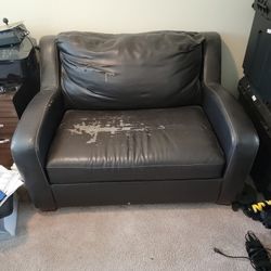 Love Seat Couch With Pull Out Twin Bed 