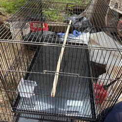 bird cage