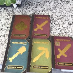 Minecraft Books $3 Each 