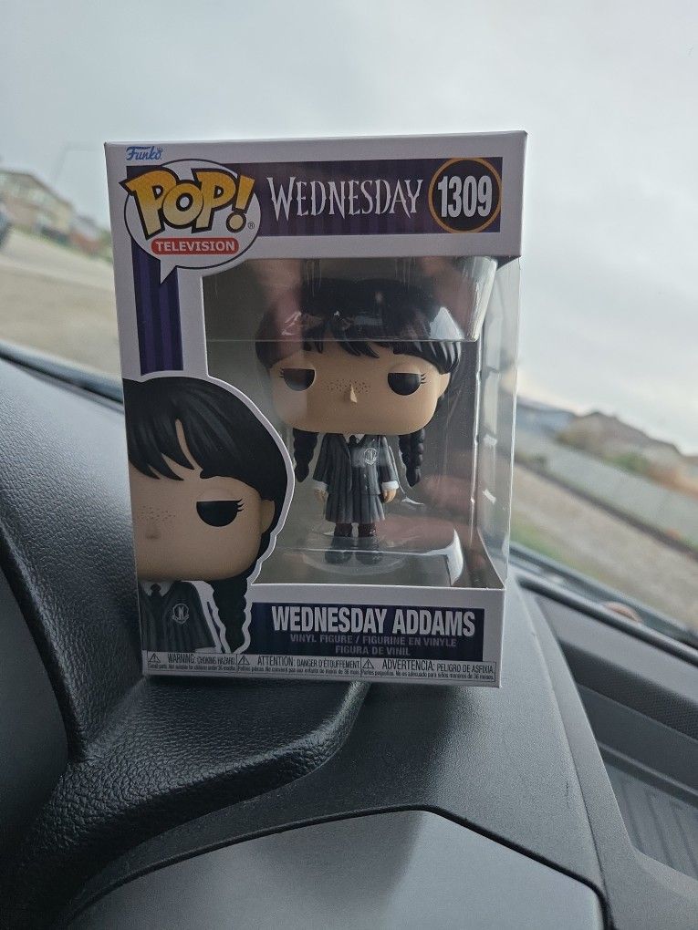 Wednesday Adam's 1309