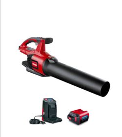 Toro Leaf Blower