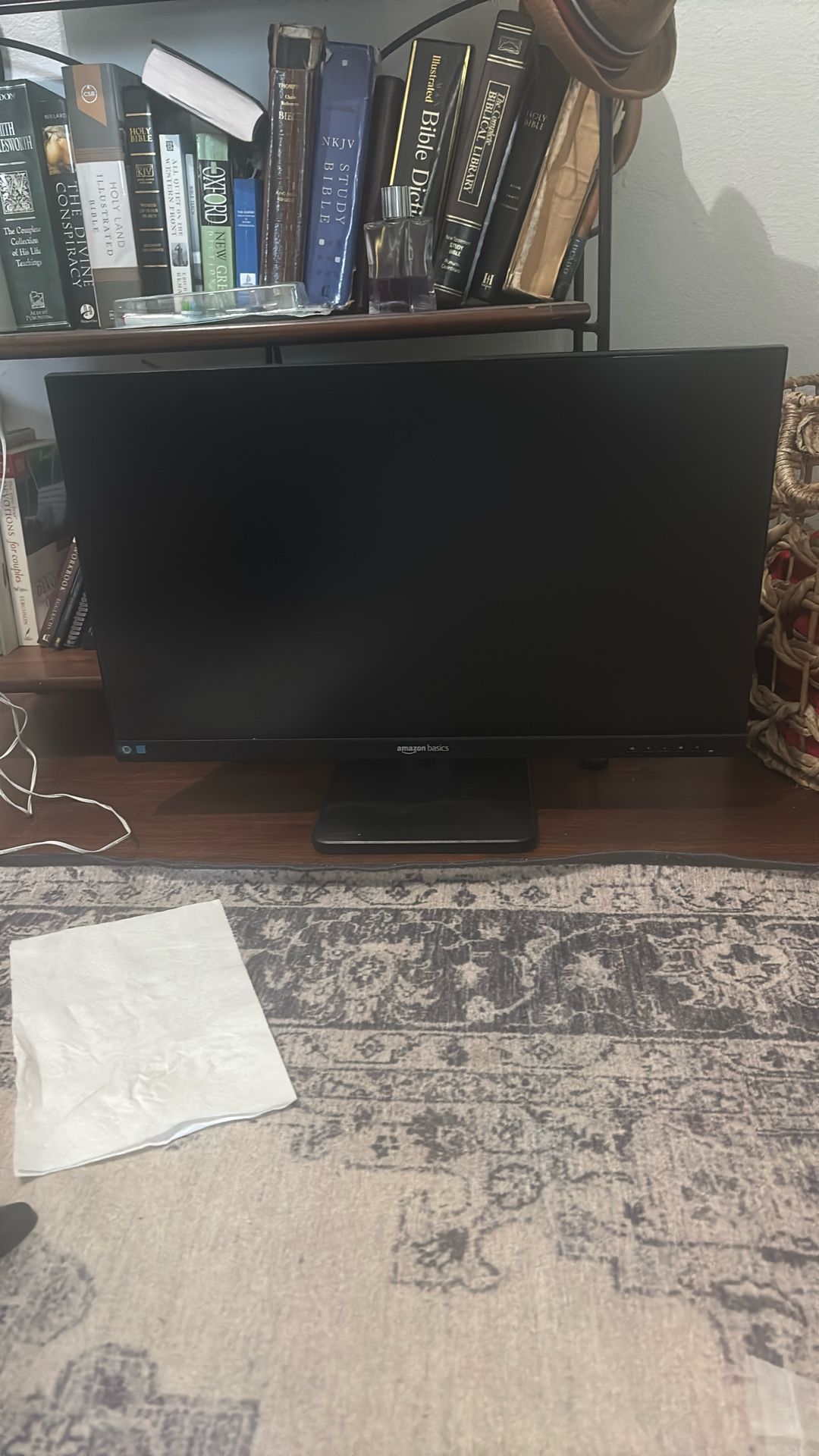 computer monitor