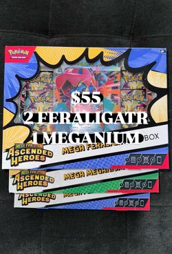 Ascended Heroes Feraligatr Mega Meganium EX Box