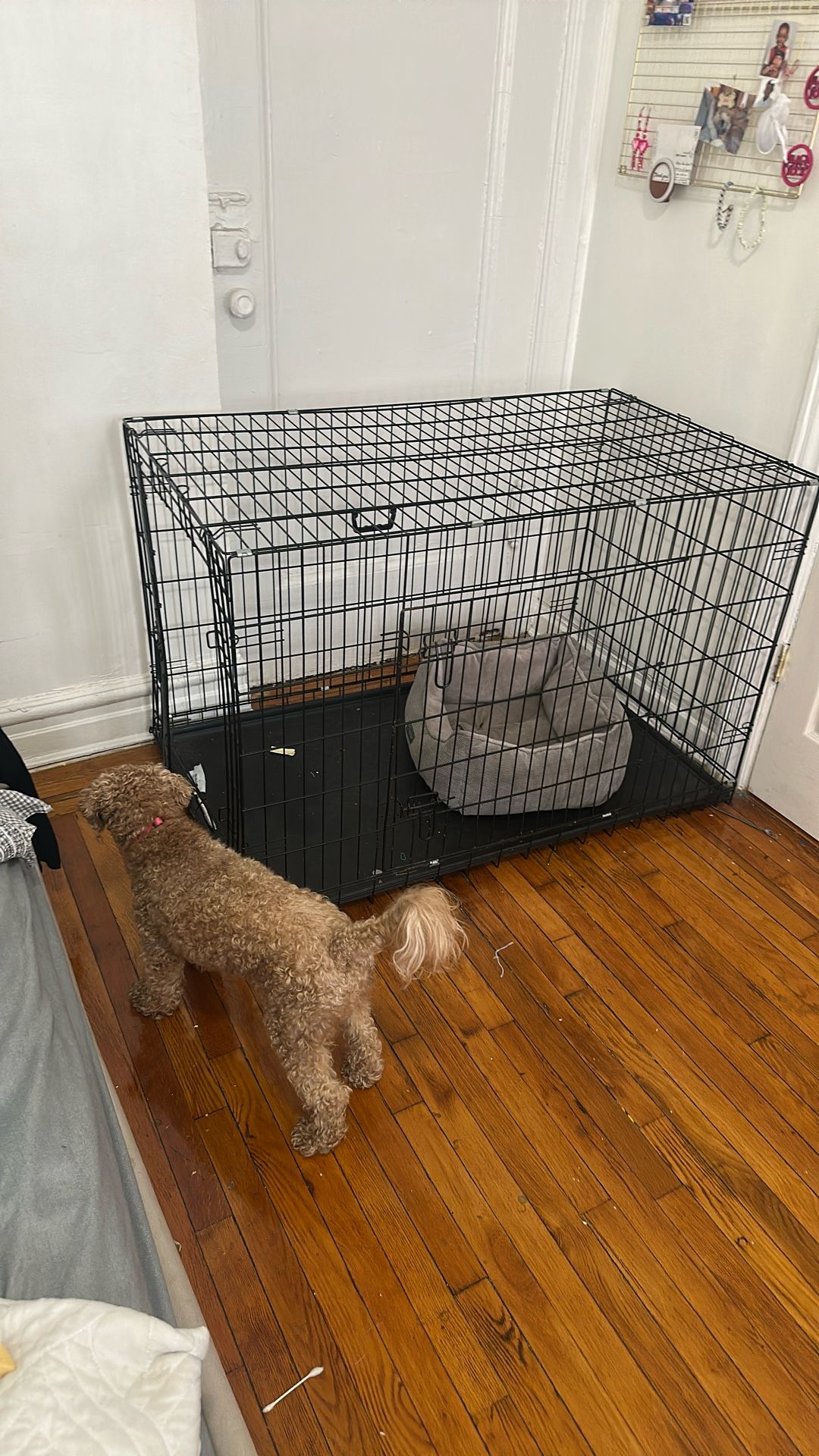 Crate