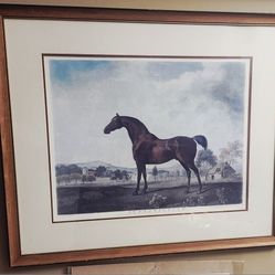 Antique Lithograph titled Sweet William