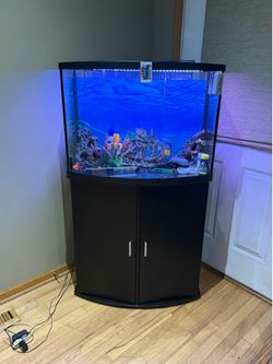 ✅ Bow front fish tank and  stand