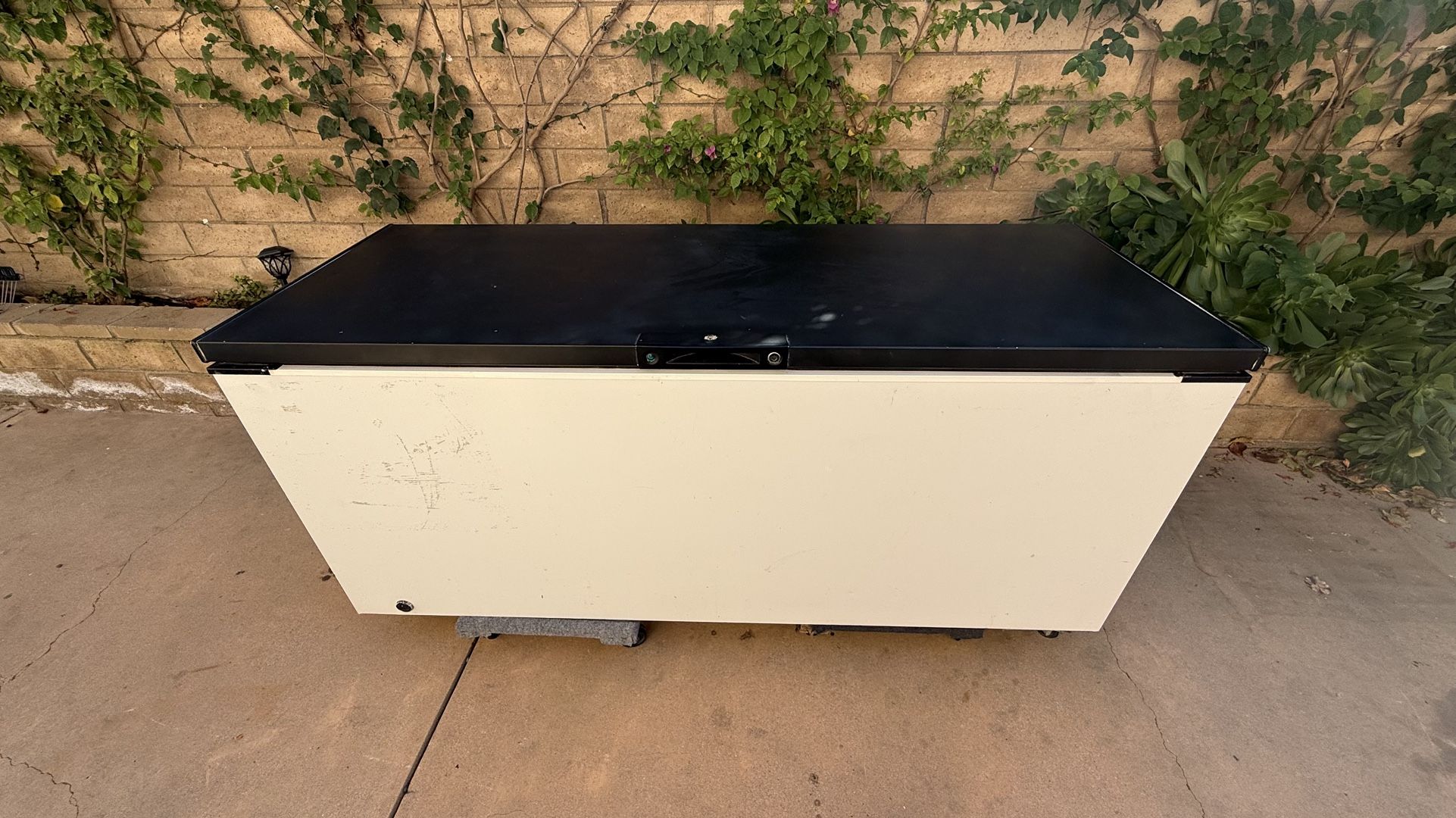 Frigidaire Standalone Freezer Cold Plunge