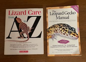 Lizard Books