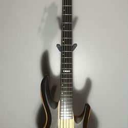 ESP LTD 5 String Neck Through Bass Guitar Natural