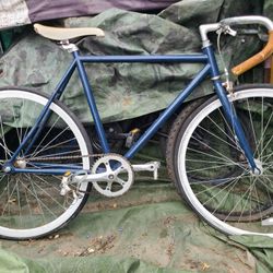 Fixed Bike 