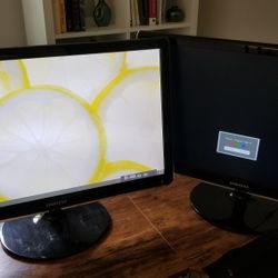 LED Dual Monitors 