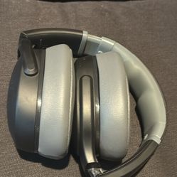 Evo Crusher Head Phones 