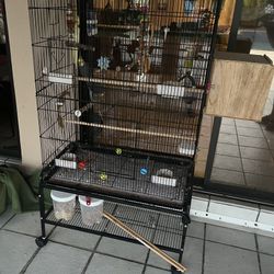 COCKATIEL BIRD CAGE