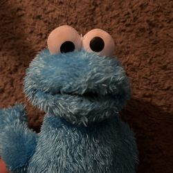 Cookie Monster 
