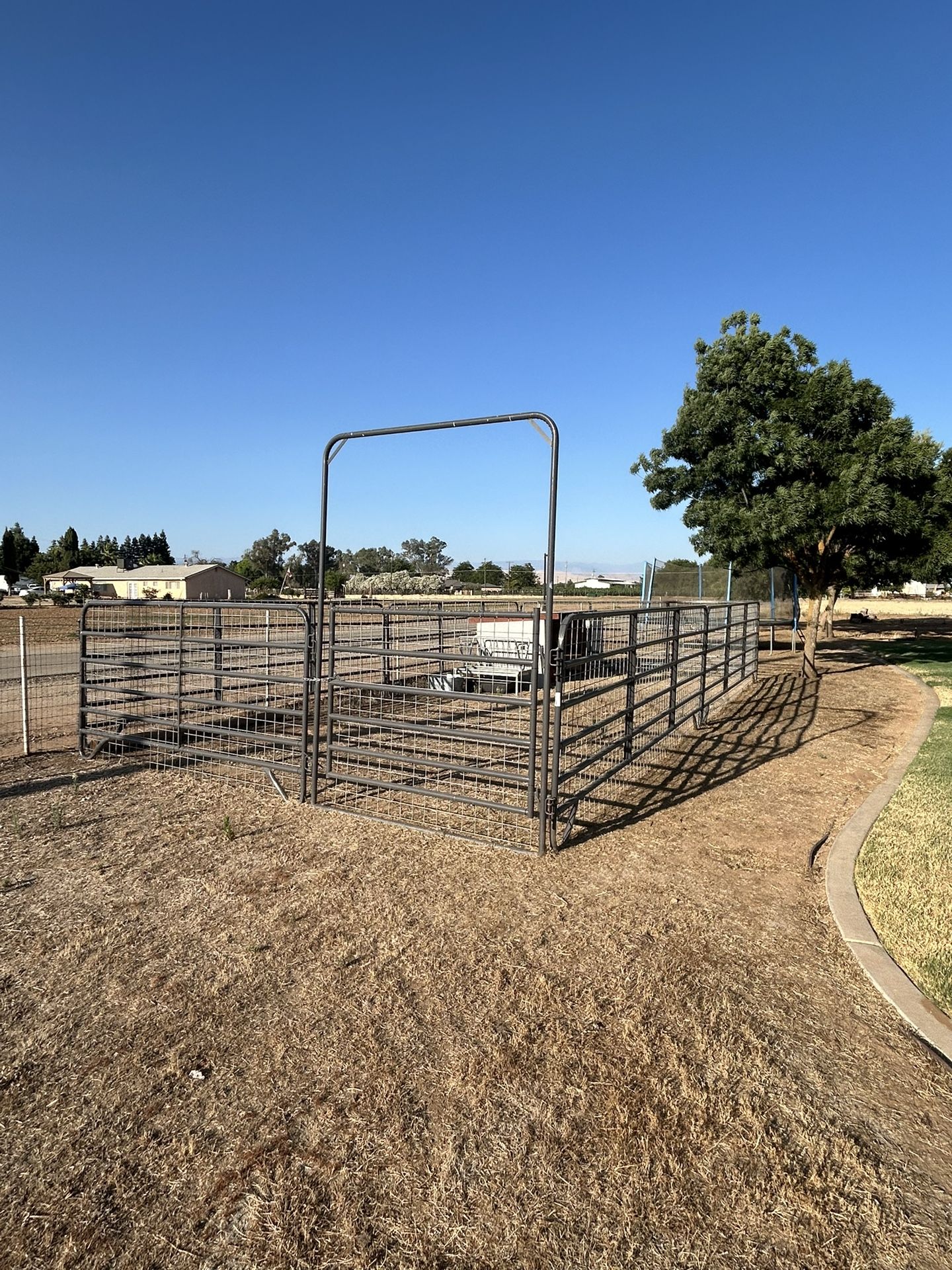 Cattle Panels