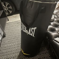everlast Punching Sandbag 50lb