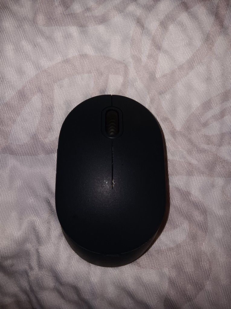 Wireless Mouse PC