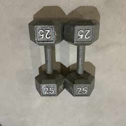 25 LB Iron Dumbbells