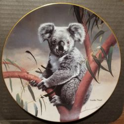 Collector plate, The Koala