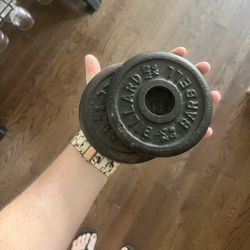 Bar Weights - Two 2.5 Weights 