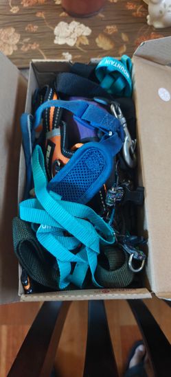 Free small dog leashes, clothes, food and bed