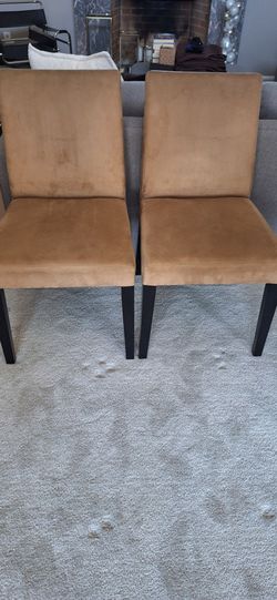Crate & Barrel Lowe Dining Chairs