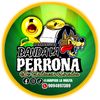 Evento Gratuitos Y Bandas