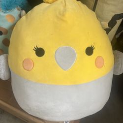 Squishmallows 