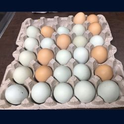 Fresh eggs