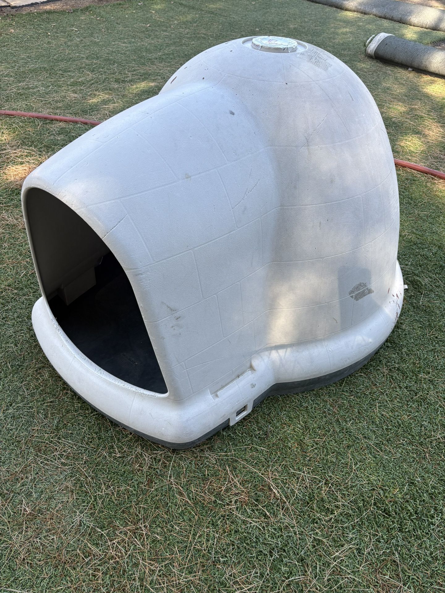 Igloo Dog House