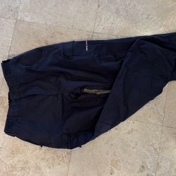 Snow/Ski Pants L Arctix